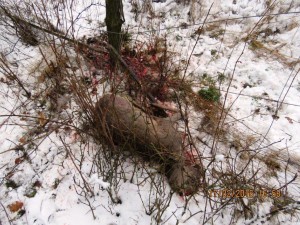 img_3224.jpg