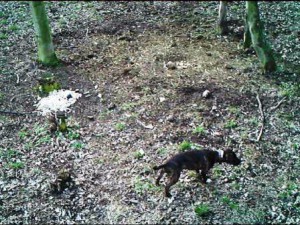 imag0036---kopie.avi-03102016-0103.jpg