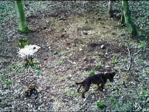 imag0036---kopie.avi-03102016-0121.jpg